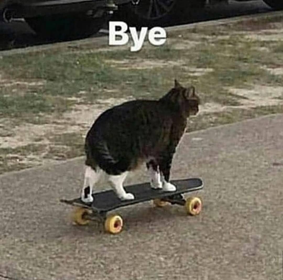 See ya in the next blog!